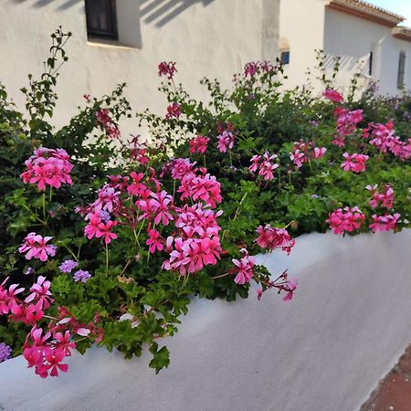 Dona Lola , Luminoso Apartamento Calahonda, Mijas Sitio de Calahonda 外观 照片