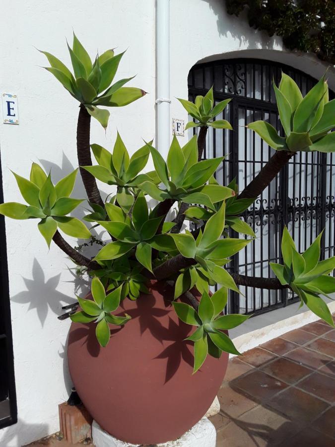 Dona Lola , Luminoso Apartamento Calahonda, Mijas Sitio de Calahonda 外观 照片