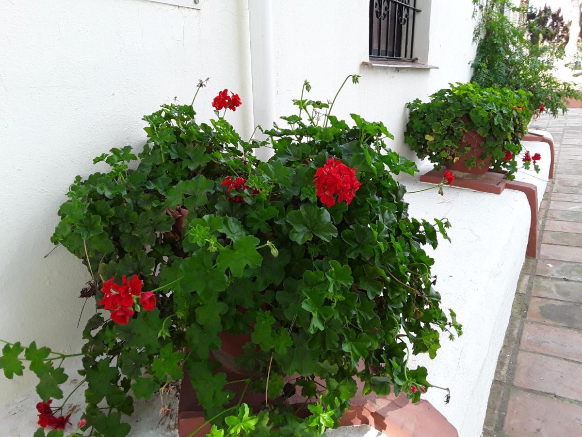 Dona Lola , Luminoso Apartamento Calahonda, Mijas Sitio de Calahonda 外观 照片